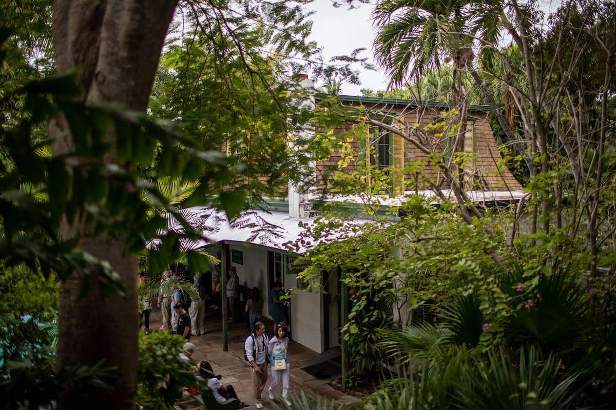 Un bâtiment doté d’une entrée abritée, entouré d’une végétation luxuriante.
