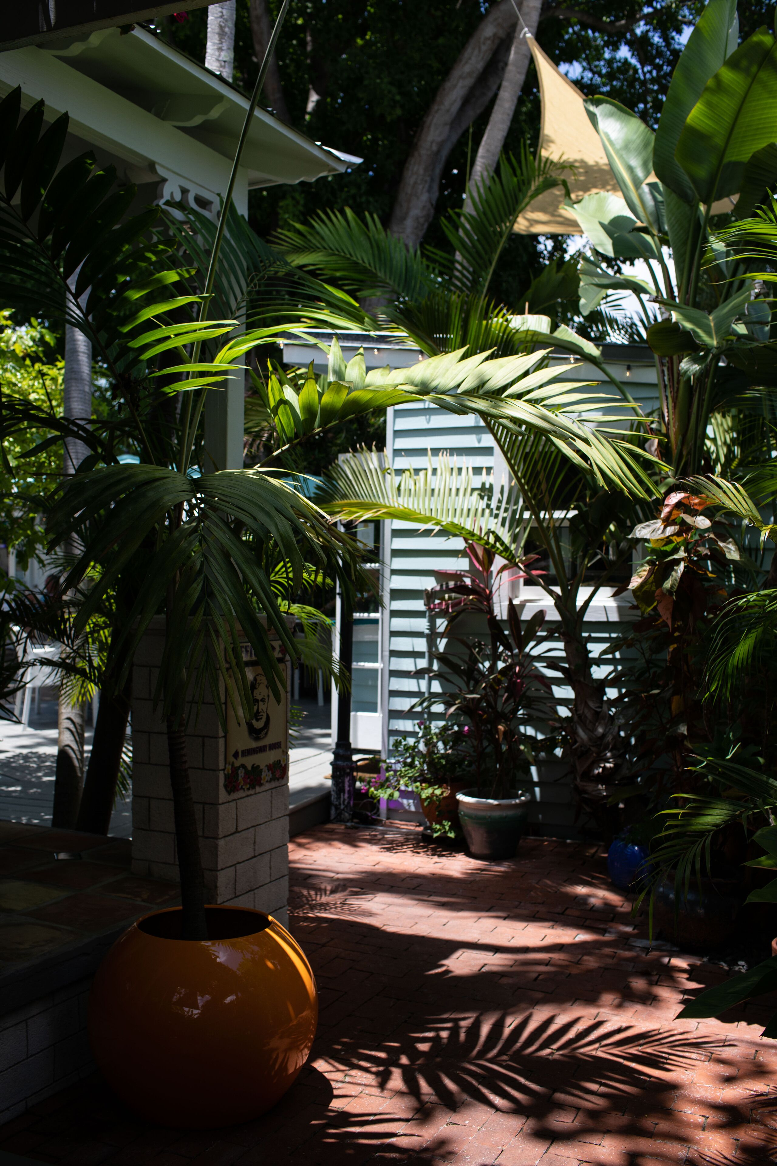 Un jardín con plantas en macetas, un sendero y un edificio con fachada blanca.