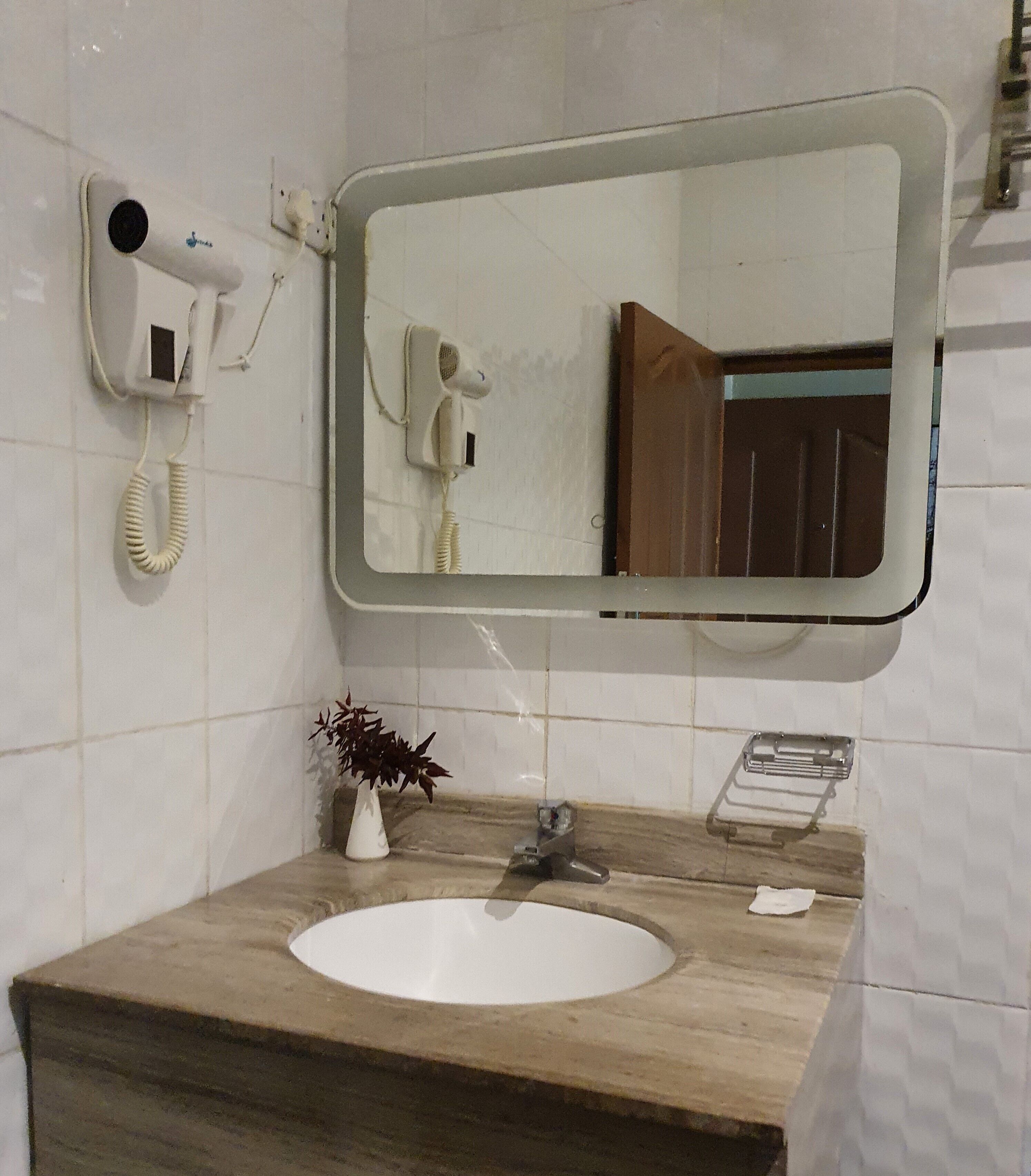 A bathroom with a white sink, a mirror, a hairdryer, and a small plant.