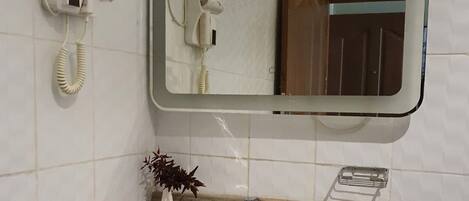 A bathroom with a white sink, a mirror, a hairdryer, and a small plant.