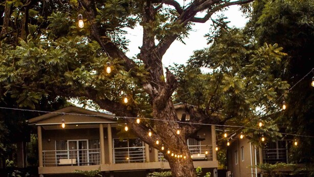 A swimming pool with a person in the water, surrounded by trees and string lights. - Lotus by Serendib (Blantyre)