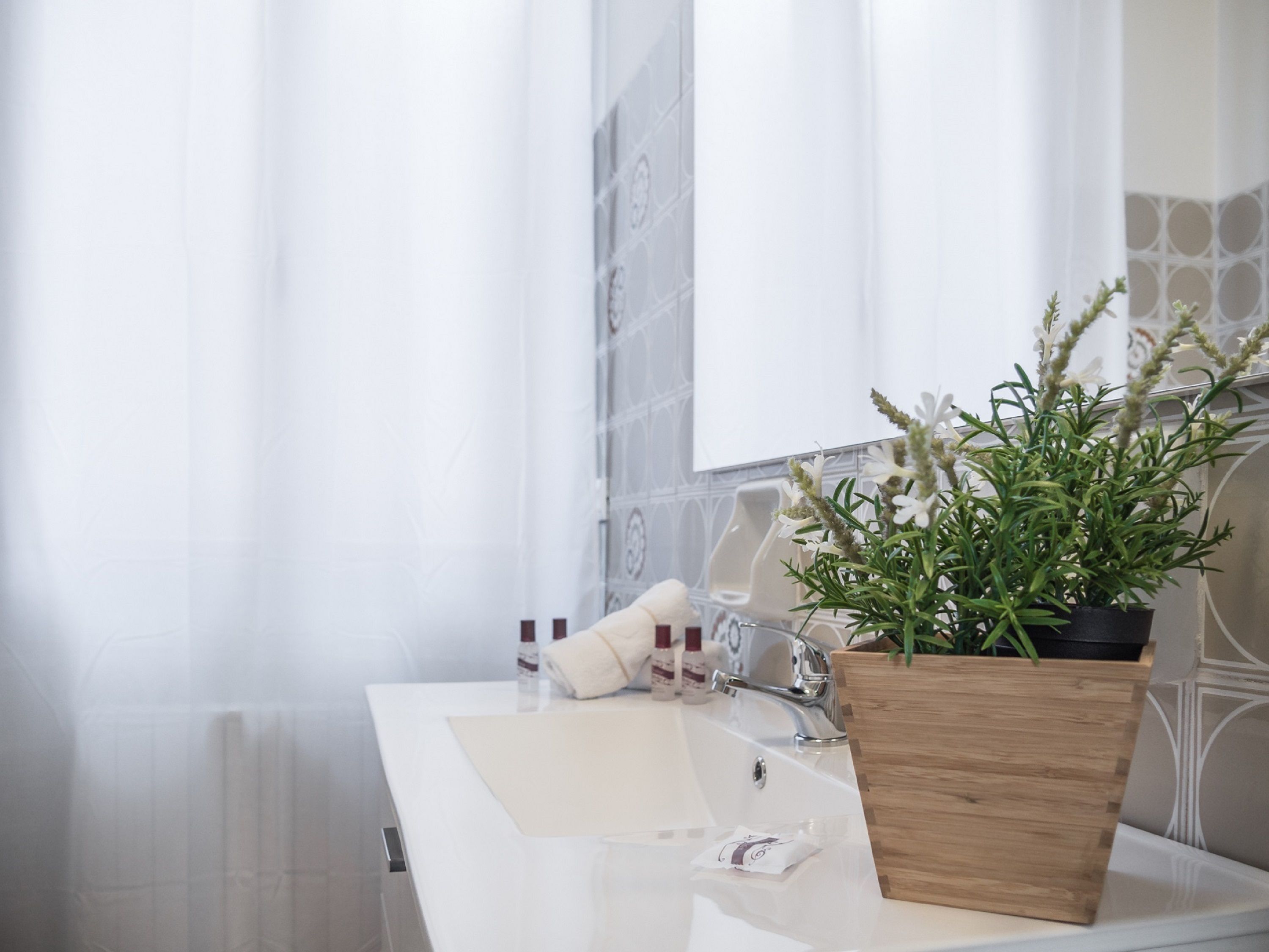 Une salle de bain avec un lavabo blanc, un miroir et une plante en pot.