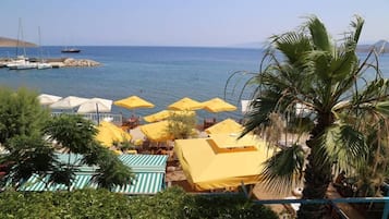 Vista desde la propiedad