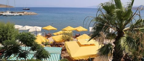 Vista desde la propiedad