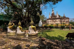 Ảnh chưa phân loại, 3 trong số 49 ảnh, nút