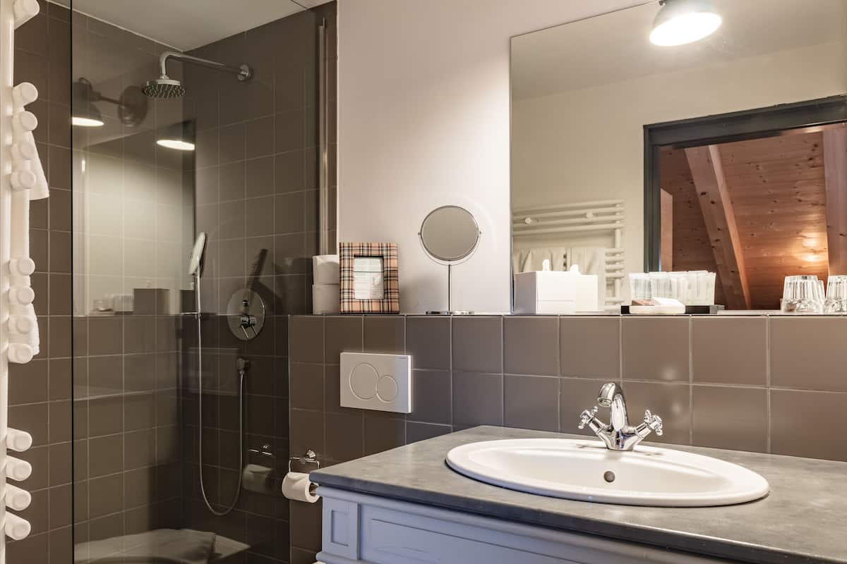 Separate tub and shower, free toiletries, hair dryer, bathrobes