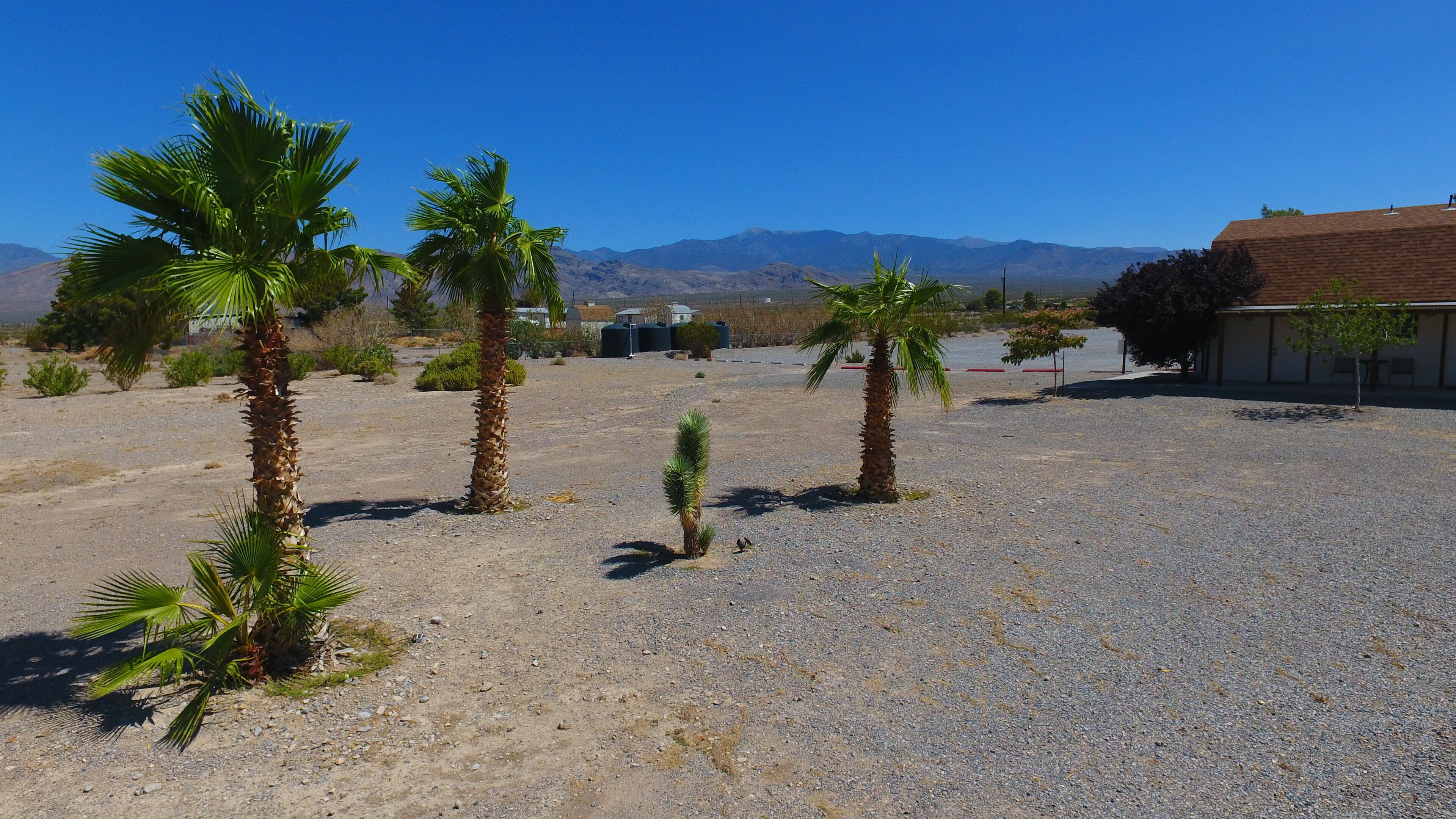 A desert landscape with palm trees and a building with a red roof.