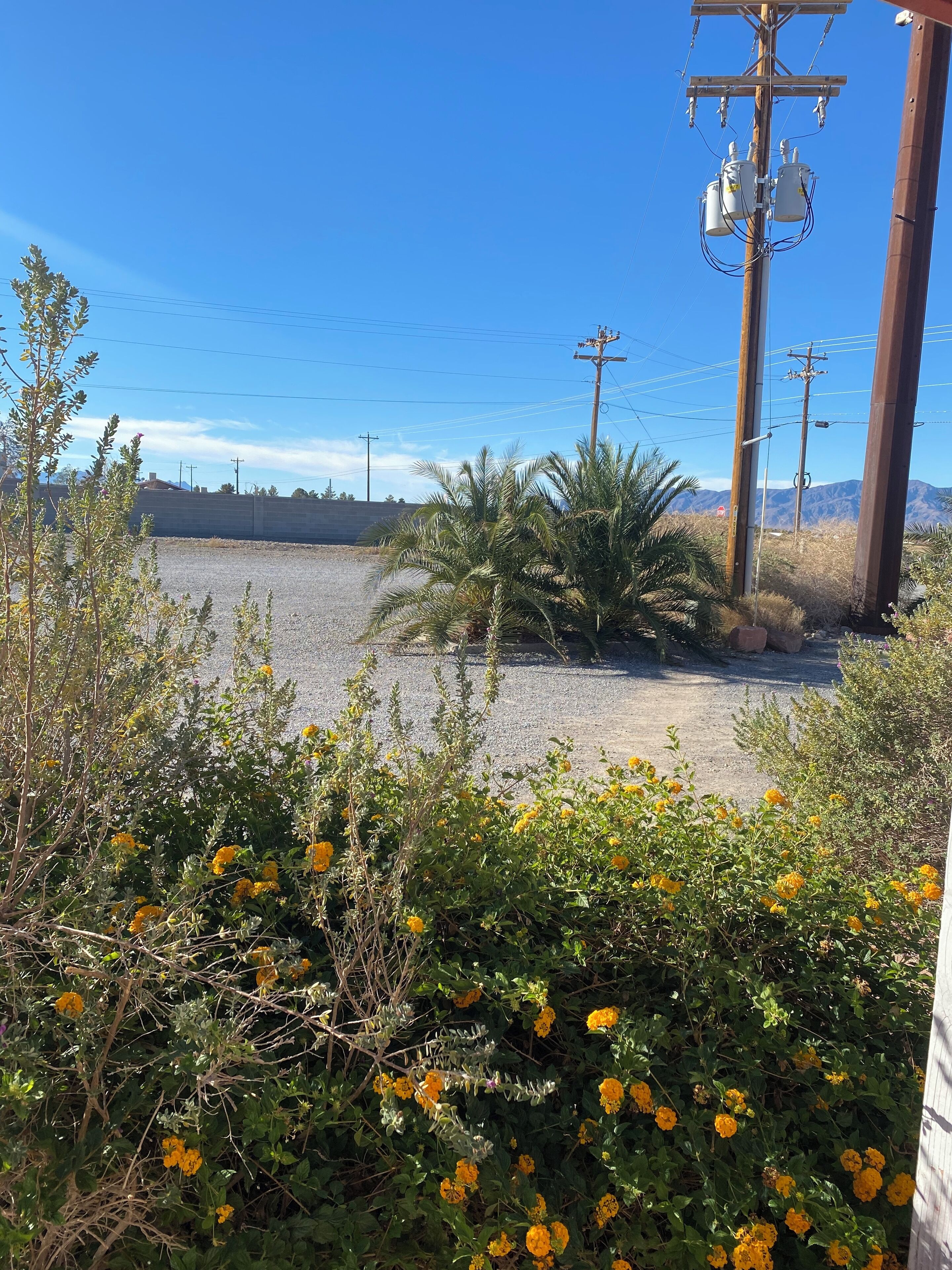 A parking lot with a row of utility poles and power lines.