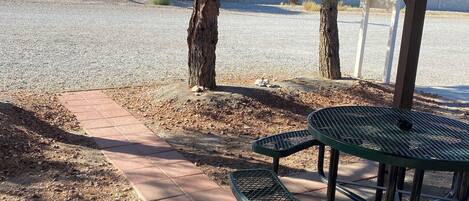 A covered picnic area with metal tables and benches, surrounded by gravel and trees.