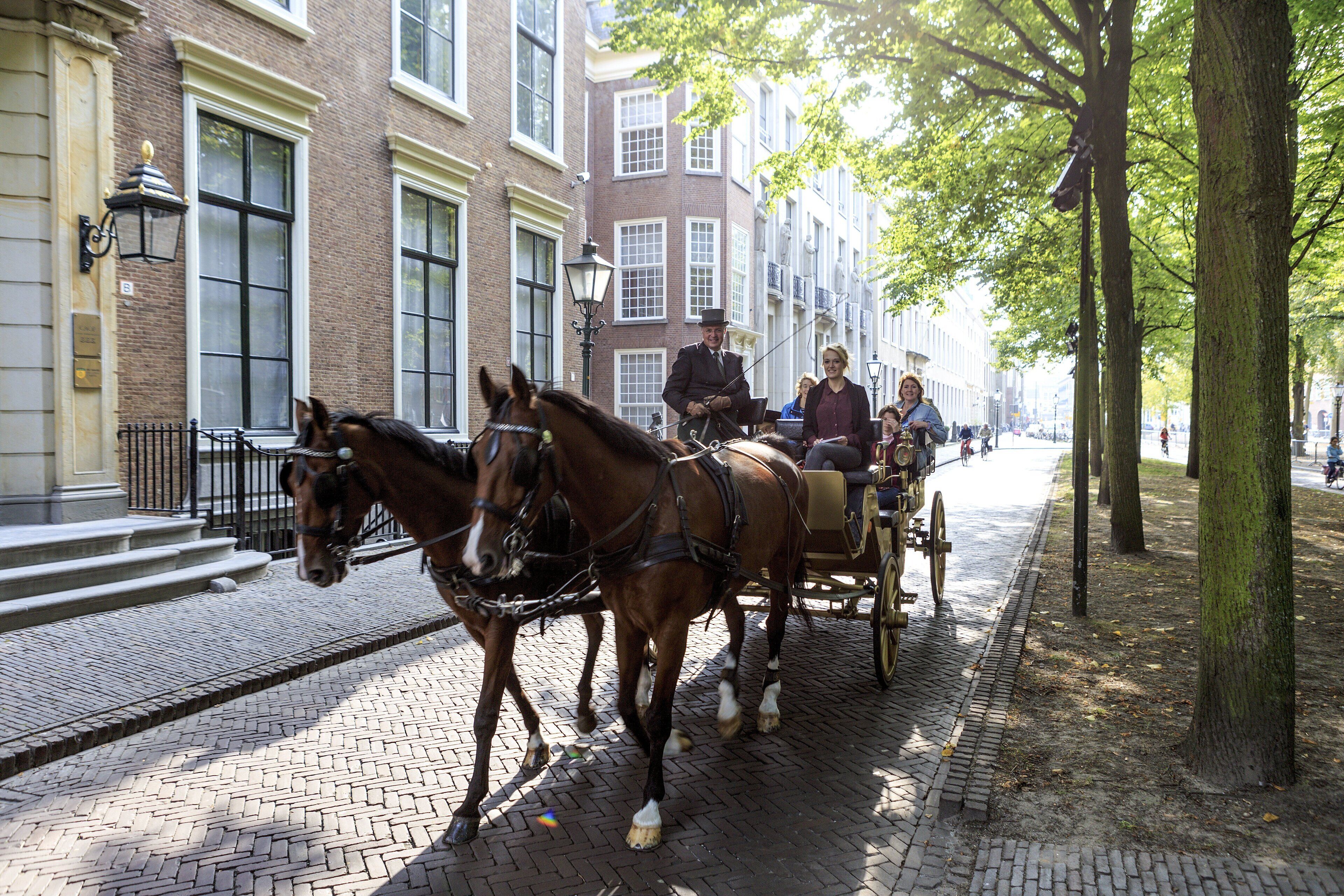 A horse-drawn carriage on a cobblestone street lined with brick buildings and trees.