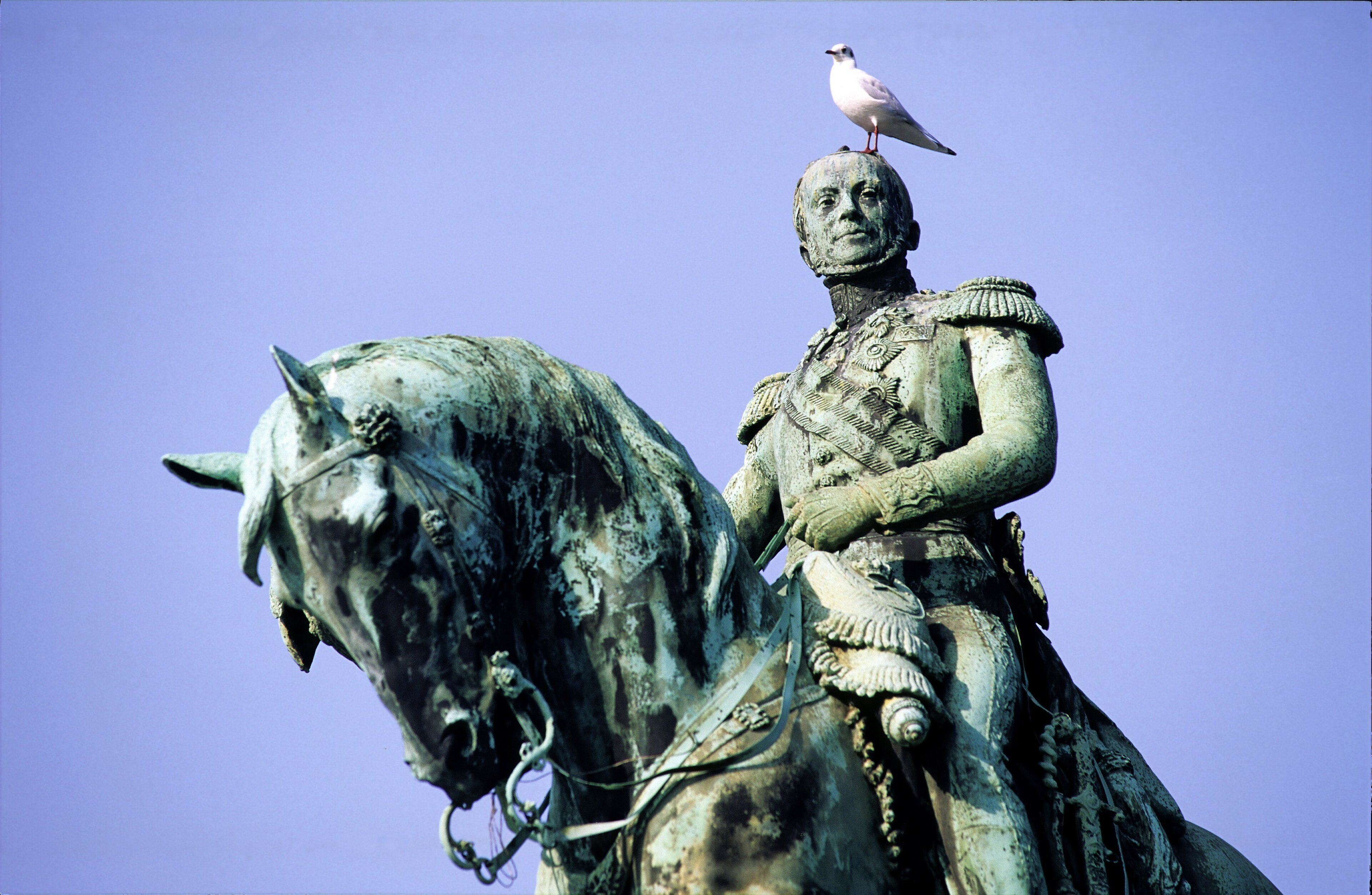 Una estatua de un jinete con un ave posada en su cabeza.