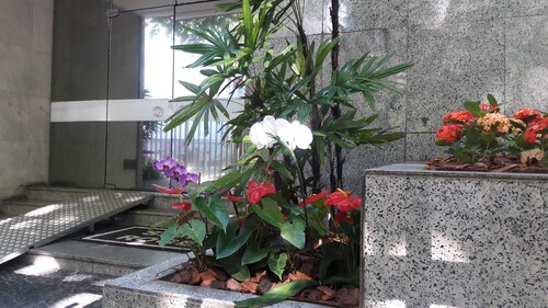 Beautiful Apartment in Ipanema