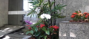 Beautiful Apartment in Ipanema