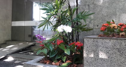 Beautiful Apartment in Ipanema