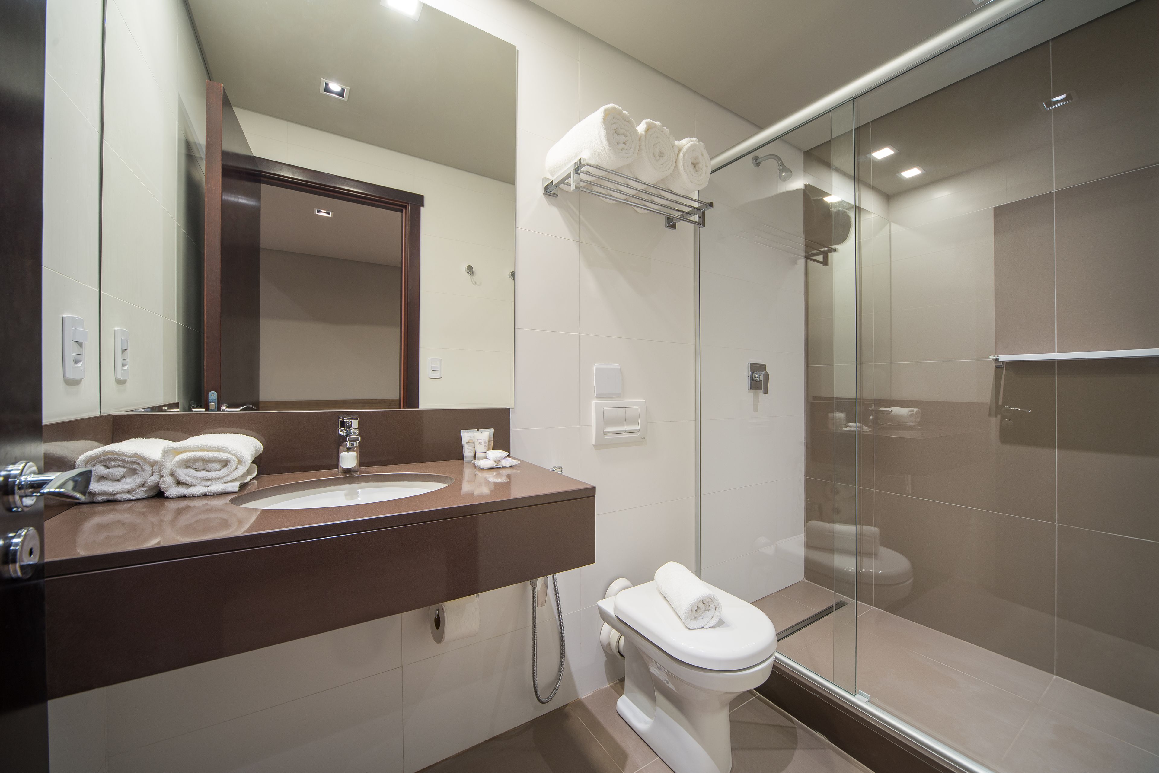 shower, free toiletries, hair dryer, towels