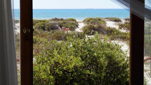 A view through a window of a beach with dense vegetation and a clear view of the ocean. - Escape Beach House (Bergrivier)