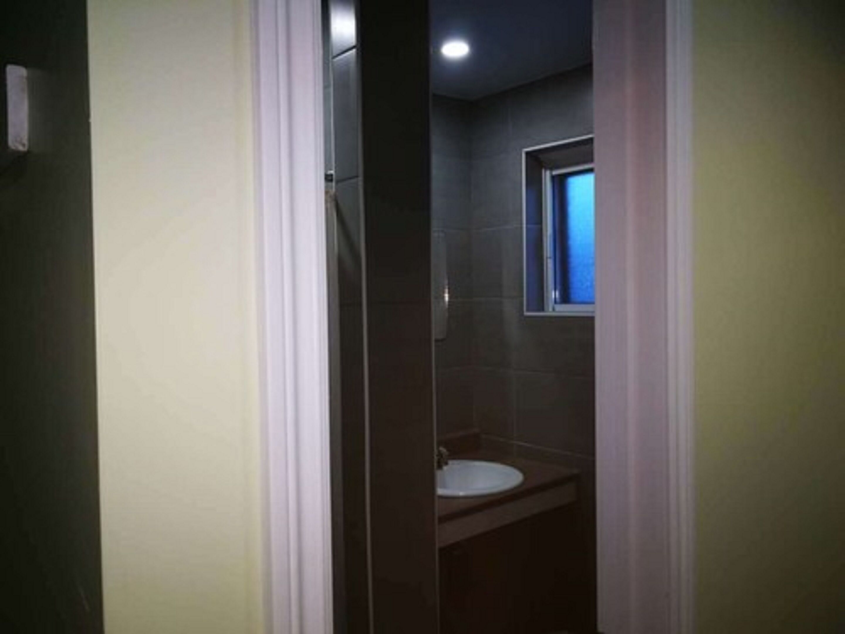 A bathroom with a white sink, a window, and a shower.