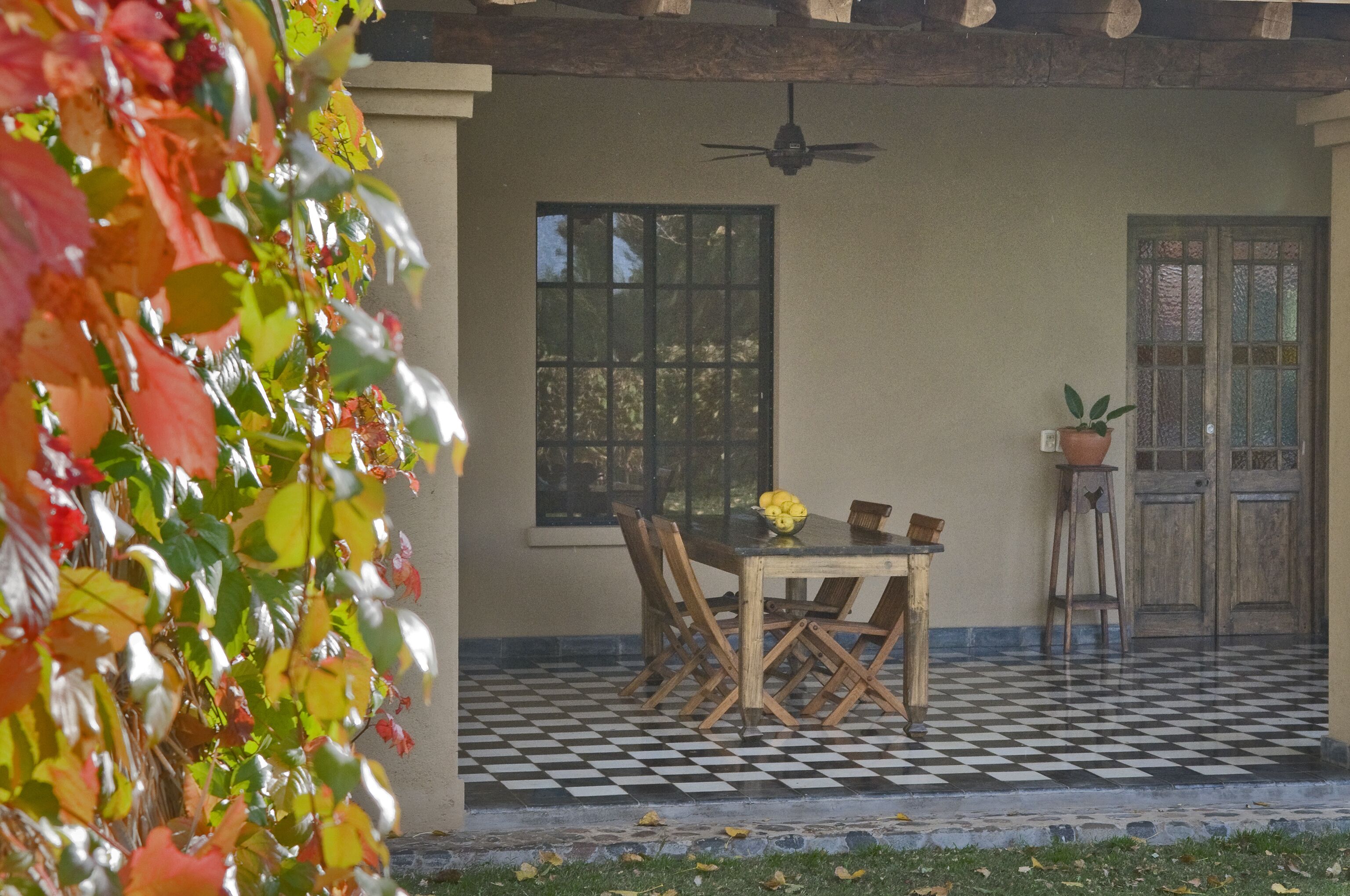A covered patio with a checkered floor, a table with chairs, and a potted plant.