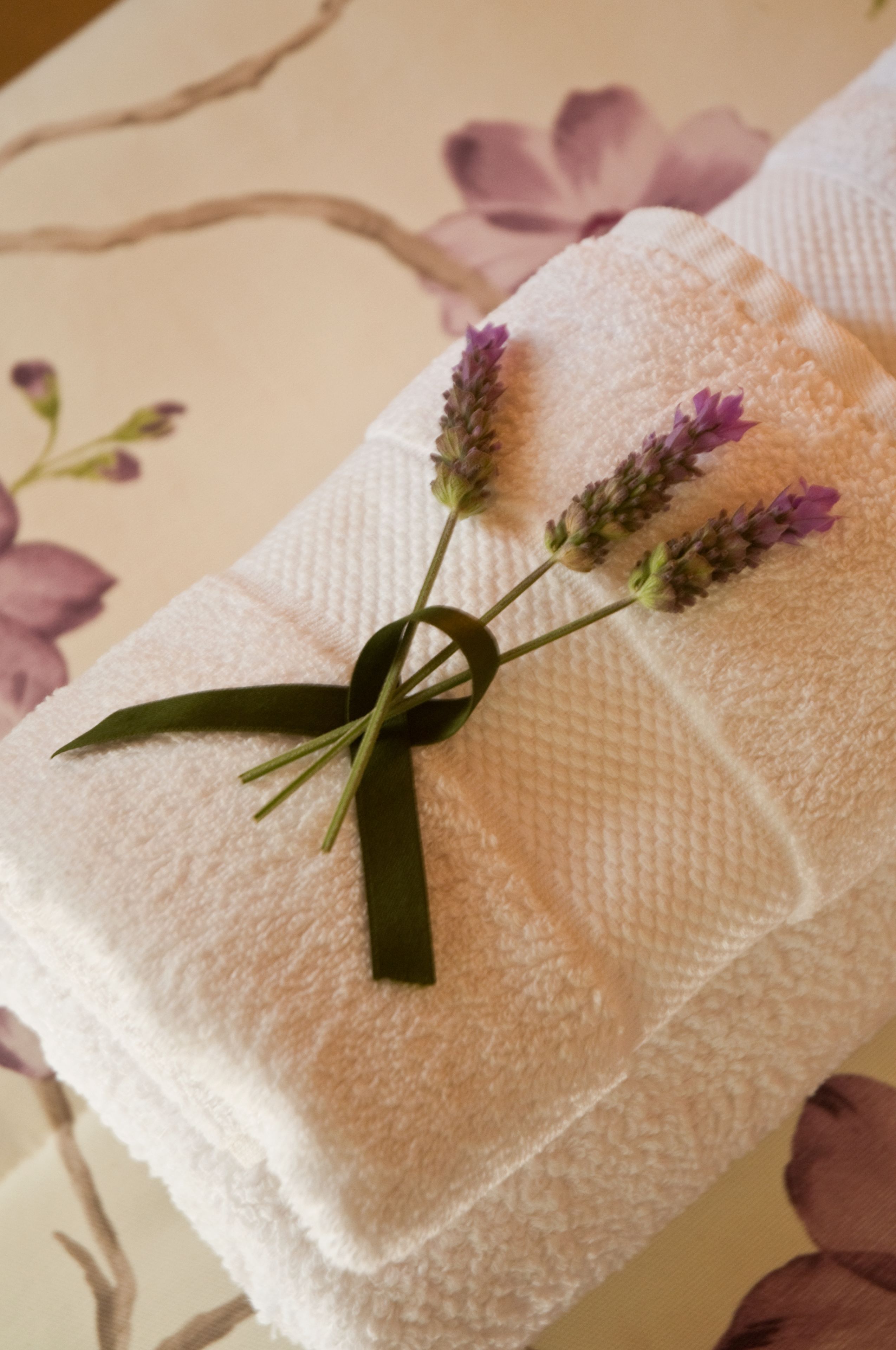 Foto - Posada Verde Oliva