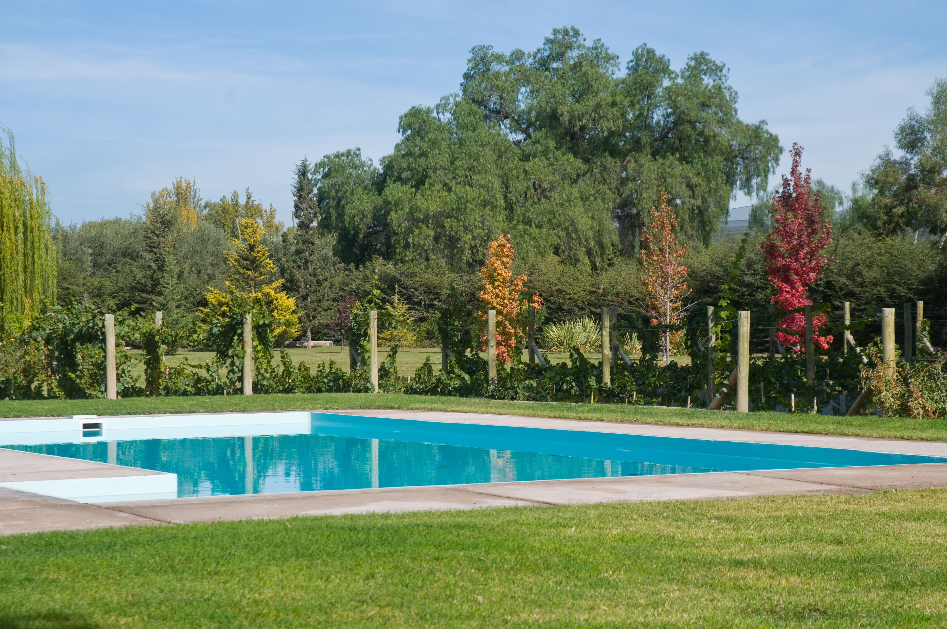 Ulkouima-allas, aurinkotuoleja