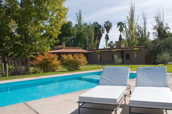 Outdoor pool, pool loungers