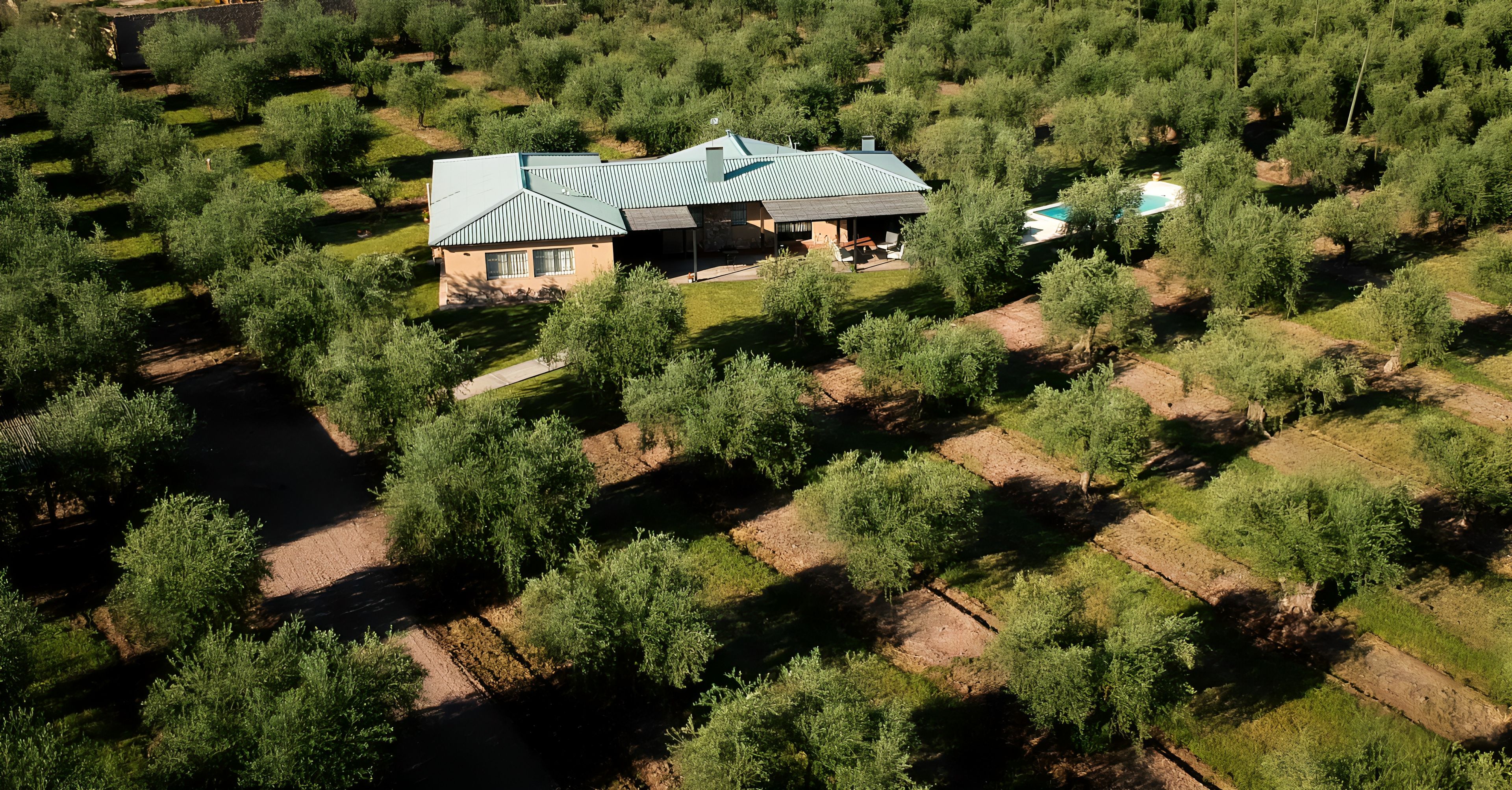 An aerial view of a house surrounded by dense greenery, with a visible swimming pool and a paved driveway.