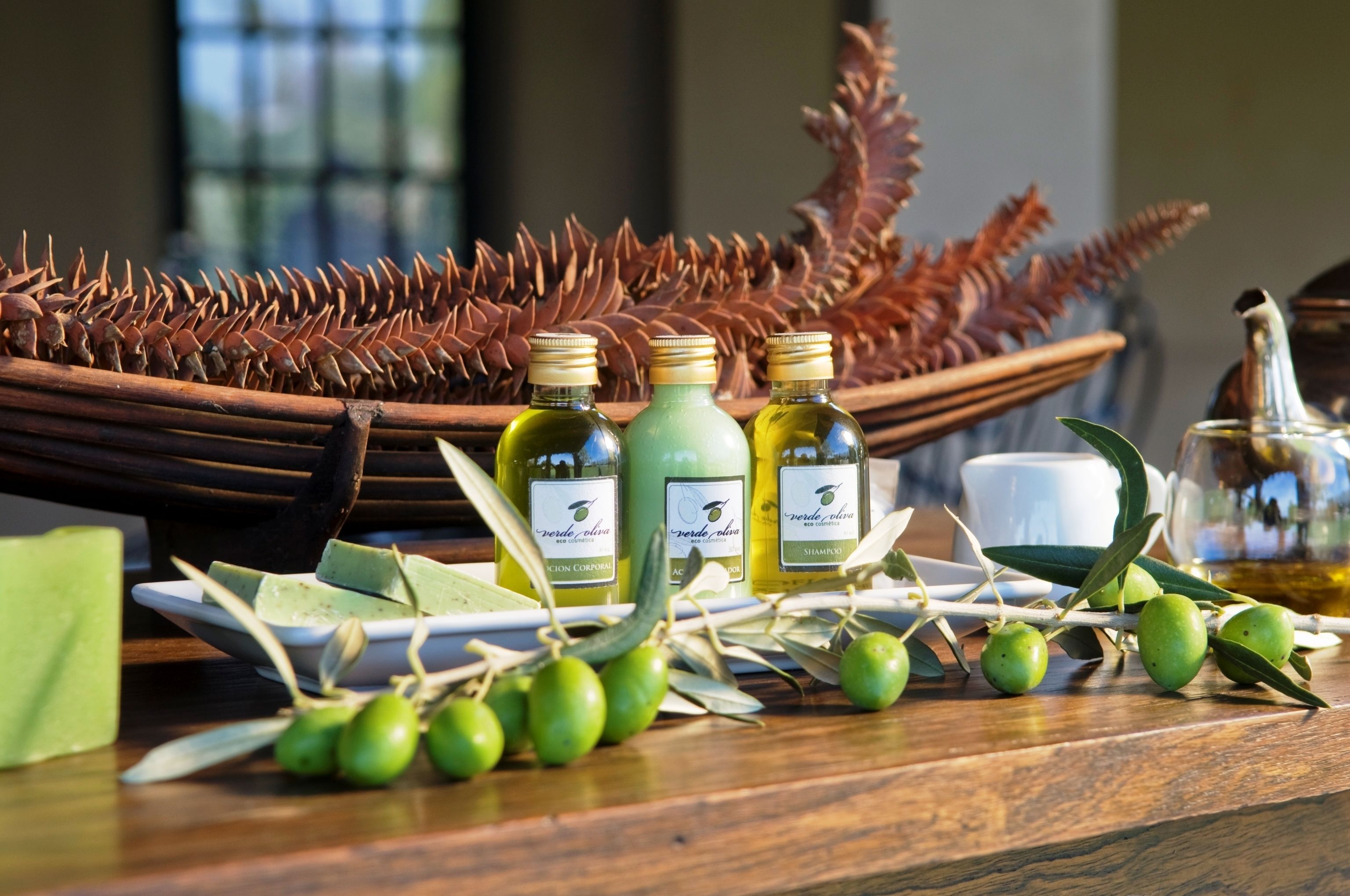 A wooden table with olive oil bottles, green olives, and a decorative fern.