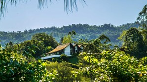 Una casa rodeada de exuberante vegetación y una colina al fondo.