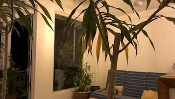 Entrada interior