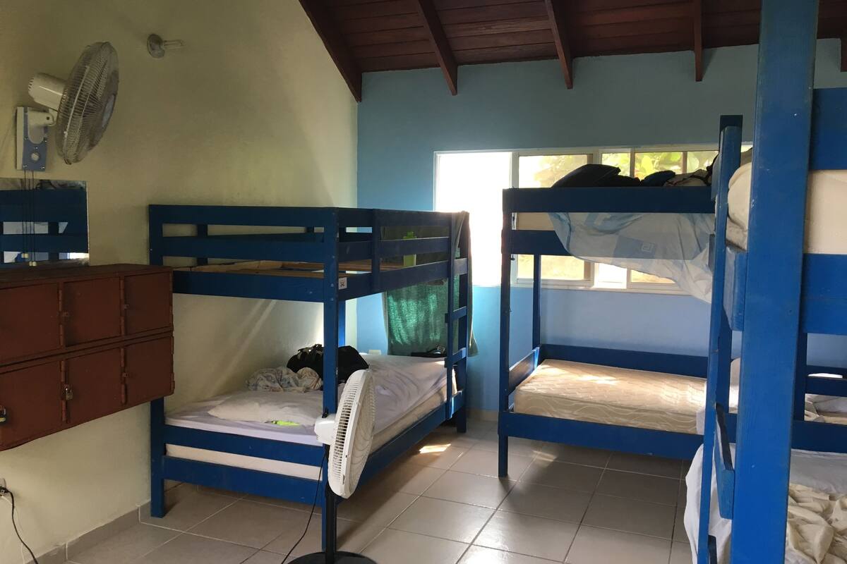 Single Bed in a 10 beds Shared Dormitory | 免費無線上網