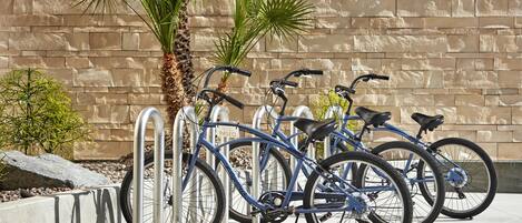 A row of blue bicycles parked against a stone wall with a palm tree and small plants nearby.