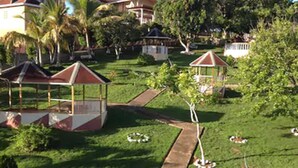 A well-maintained garden with a central pathway, surrounded by lush greenery and small structures. - Paradise Reggae Resort (Spanish Town)