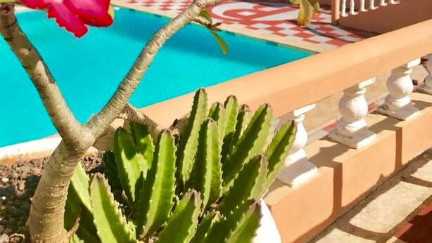 A hotel with a pool, red flowers, and a cactus plant. - Paradise Reggae Resort (Spanish Town)