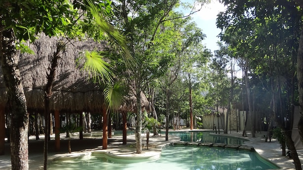 A serene outdoor pool area surrounded by trees and thatched structures. - Tropical Paradise Apartment (Puerto Morelos)