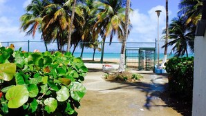Un sentier bordé de palmiers qui mène à une plage, avec une clôture et un lampadaire visibles.