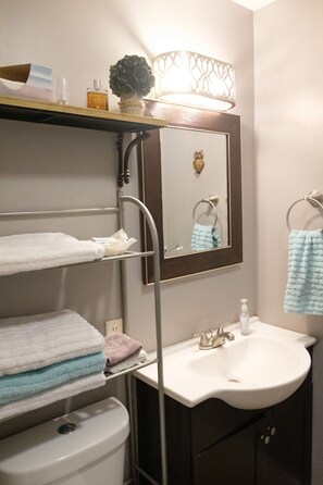 Secador de cabelo, toalhas de banho, sabonete, shampoo
