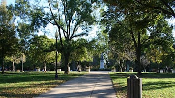 Property grounds
