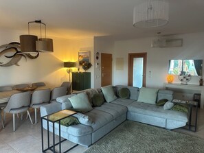 TV, video games, DVD player, video library