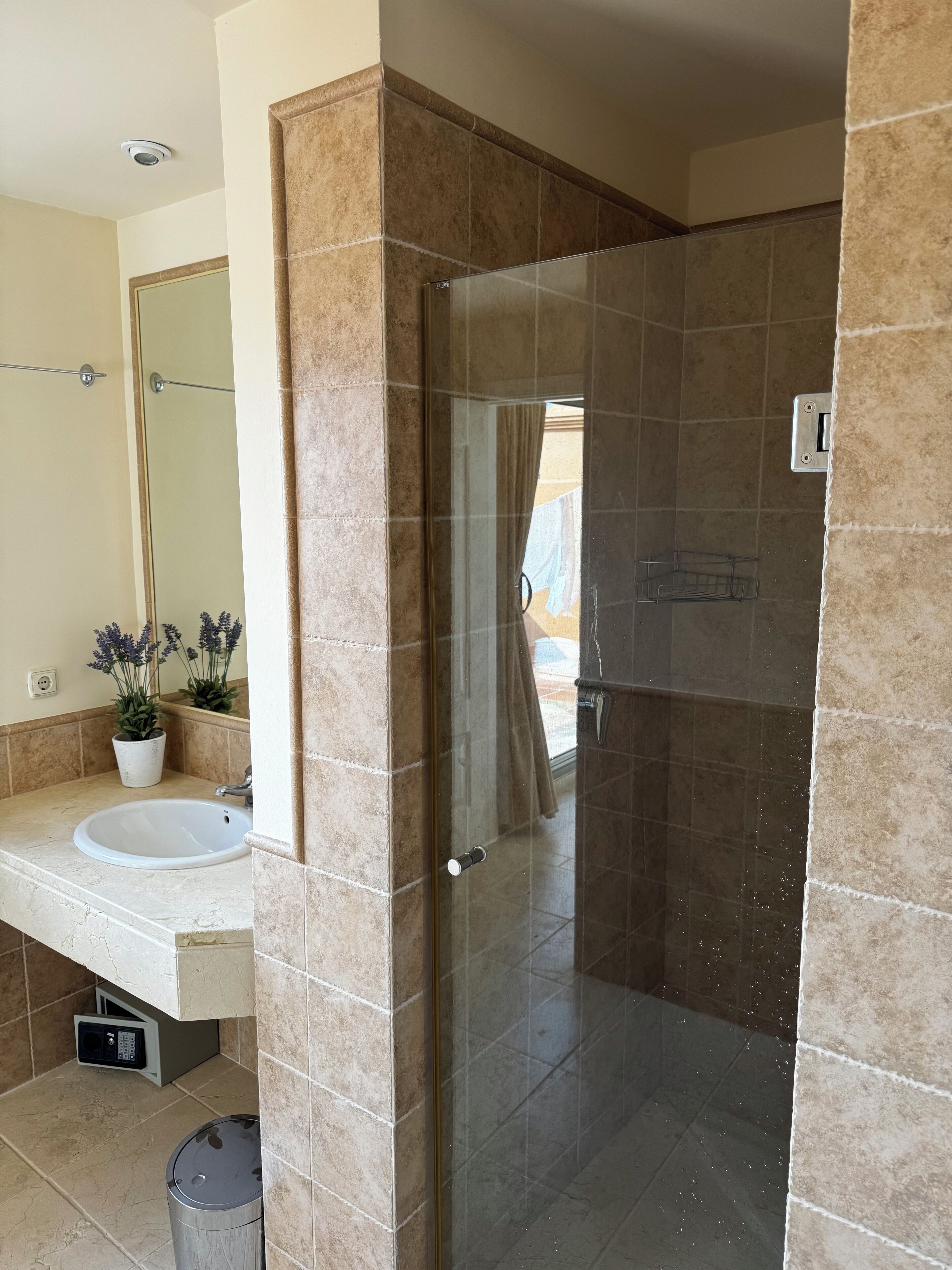 Une salle de bain équipée d’un lavabo, d’un miroir, de plantes en pot et d’un espace douche.