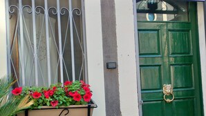 A green door with a lion head knocker, a window with metal bars, and a planter with red flowers. - Catania City Center: A Little Gem in the Historic Center of Catania (Catania)