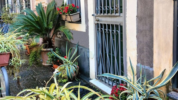 A building with multiple windows, some with metal bars, and various potted plants in front. - Catania City Center: A Little Gem in the Historic Center of Catania (Catania)
