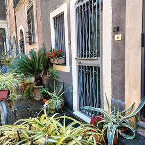 A building with multiple windows, some with metal bars, and various potted plants in front. - Small jewel in the historic center of Catania (Catania)