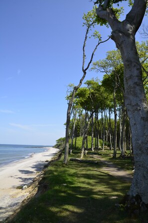 Sur la plage, chaise longue