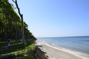 Plage, chaises longues