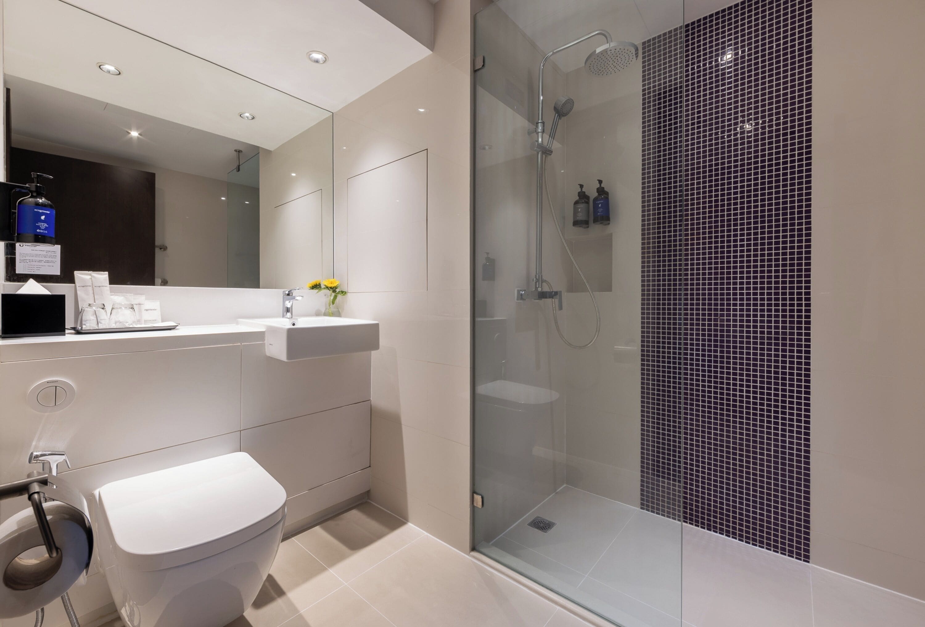 shower, rainfall showerhead, free toiletries, hair dryer