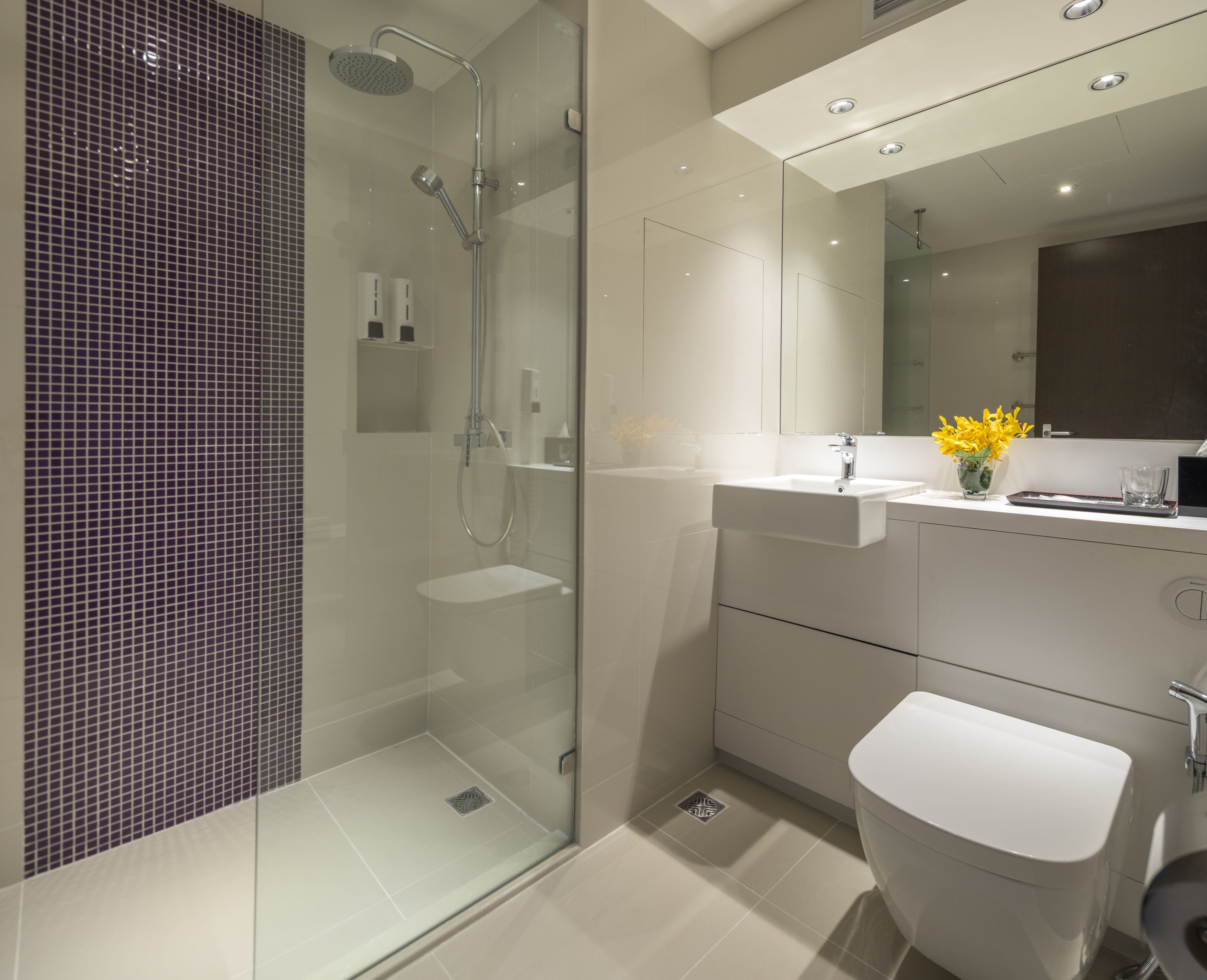 shower, rainfall showerhead, free toiletries, hair dryer