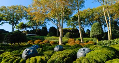 Ătretat en toute simplicitĂ© !