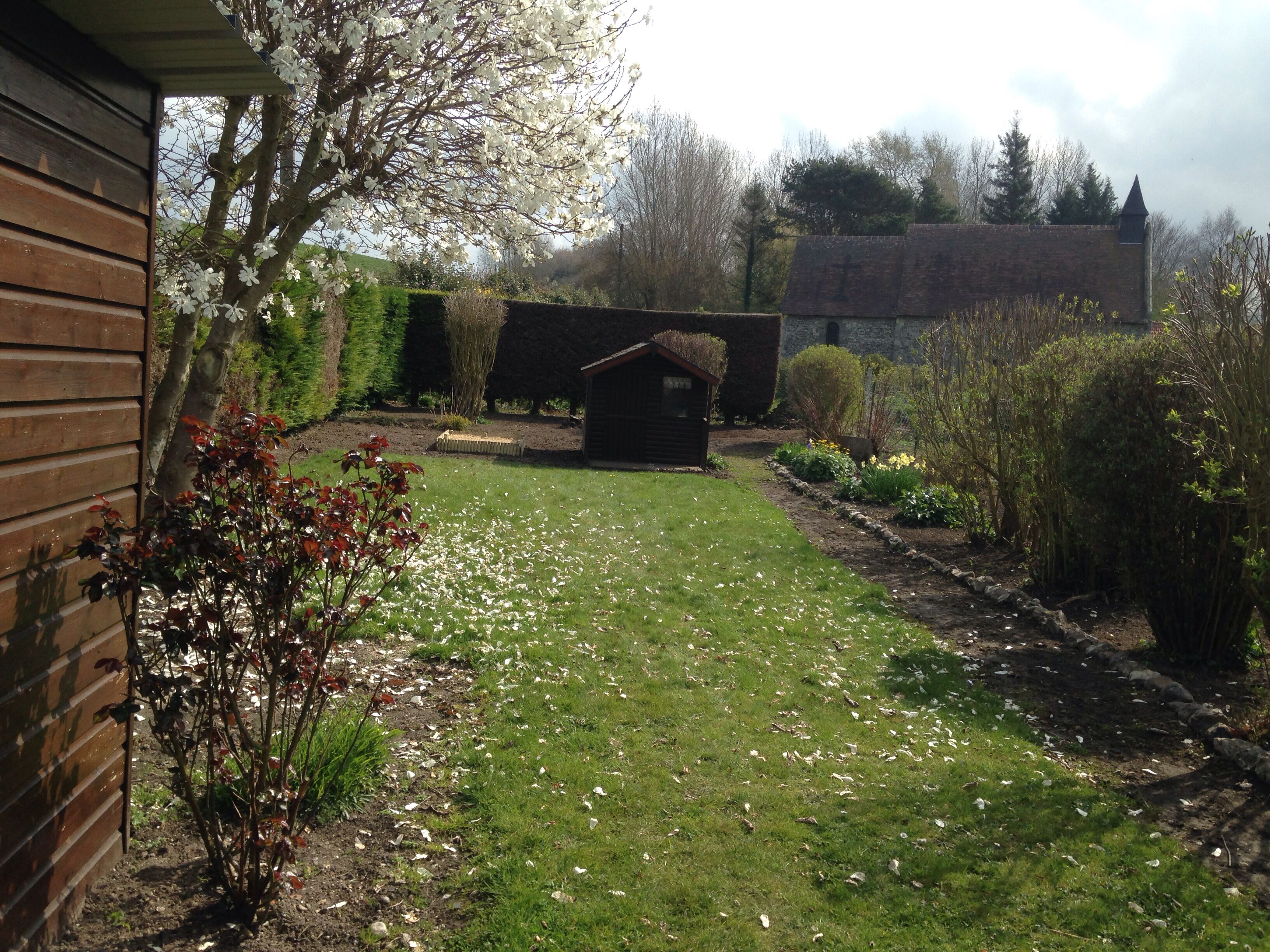 Een tuin met een houten tuinhuis, gazon en diverse planten.