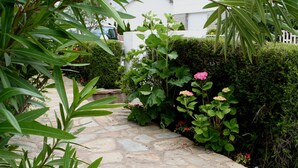 Un sendero de piedra que atraviesa un jardín con diversas plantas y flores.