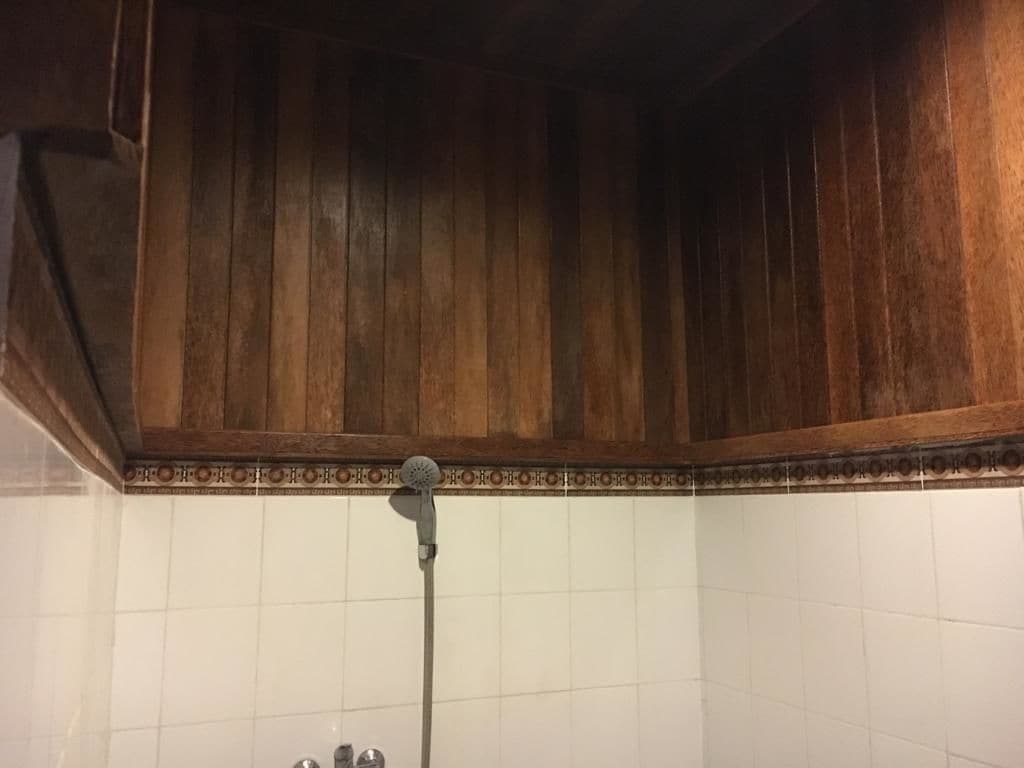 A wooden ceiling with a decorative border and a shower head.